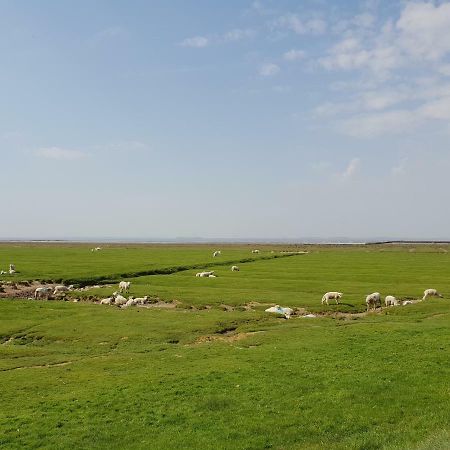 Kleines Haeuschen Am Deich, Vor Den Toren Von Sylt Villa Emmelsbüll-Horsbüll Kültér fotó