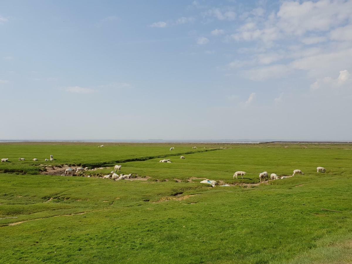 Kleines Haeuschen Am Deich, Vor Den Toren Von Sylt Villa Emmelsbüll-Horsbüll Kültér fotó
