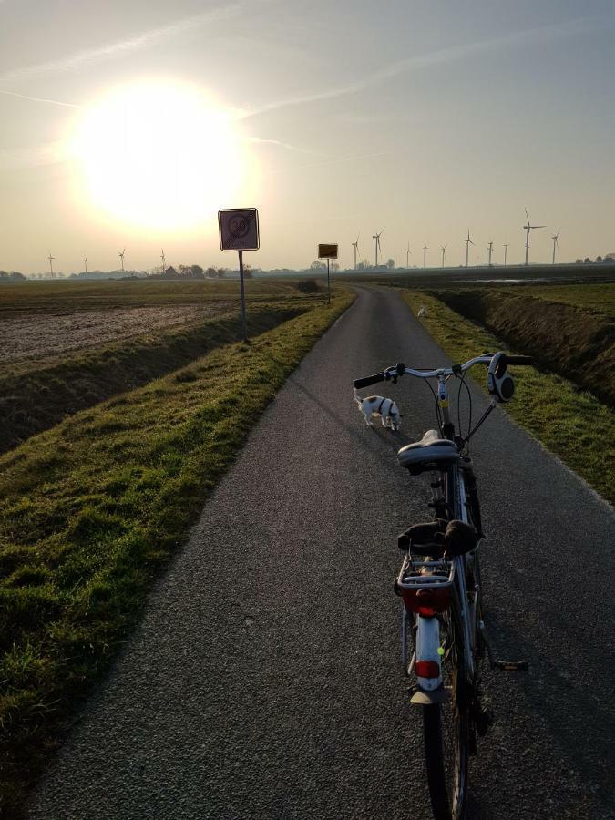 Kleines Haeuschen Am Deich, Vor Den Toren Von Sylt Villa Emmelsbüll-Horsbüll Kültér fotó