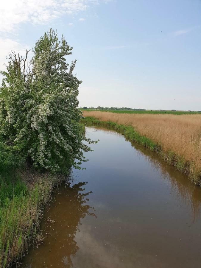 Kleines Haeuschen Am Deich, Vor Den Toren Von Sylt Villa Emmelsbüll-Horsbüll Kültér fotó